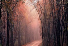 非凡娱乐：崔永熙登场魔术力克篮网6连胜 猛龙险胜热火.