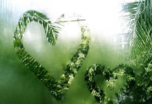 [德甲]于帕梅卡诺红牌送点 斯托格主罚命中.