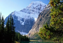 [网球]德约科维奇：见证门希克的成长与变化 令我惊叹.