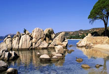 非凡娱乐：世界杯最有范教练天团来袭!暂时缺了梅西的偶像.